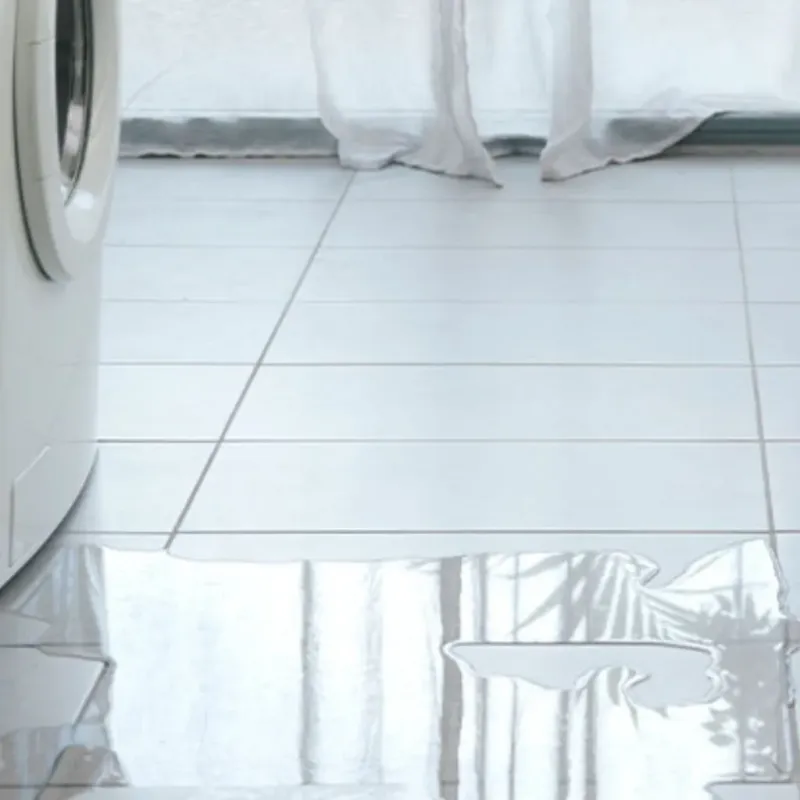Appliance Leak Cleanup in Goodlettsville, TN
