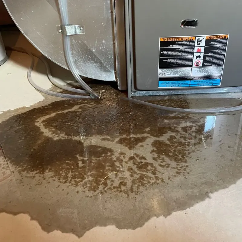 Pipe Burst and Leak Restoration in Goodlettsville, TN