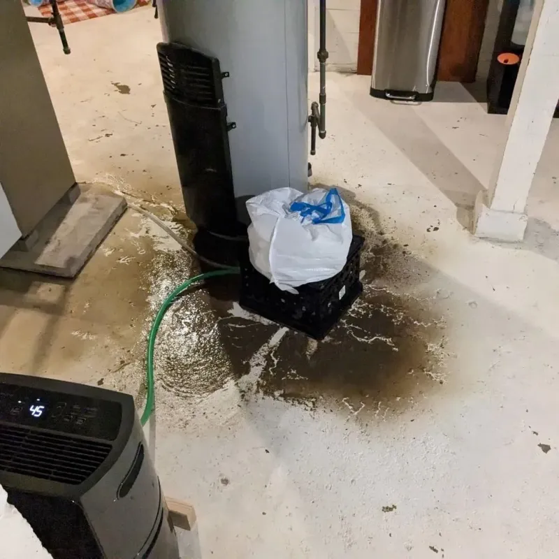 Sewage Backup Cleanup Service in Goodlettsville, TN
